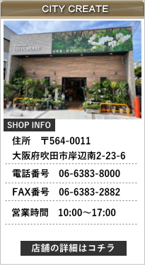 �V�e�B�N���G�C�g