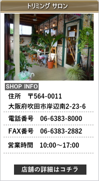 �g���~���O�T����