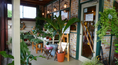 �g���~���O�T���� �y�b�g�N���G�C�g